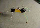Click to see a movie of processor-less walking robot