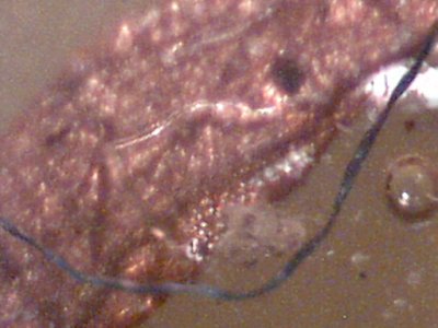 Residue from flux paste and attracted debris at 200x magnification