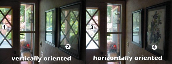 Natural sources of polarized light. Left: Vertically-oriented glare from glass. Right: Horizontally-oriented glare from leaves and roadways.