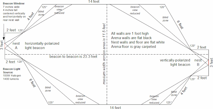 Robotic egg hunt arena dimensions