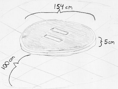 Broad view of dimensions of an International Robot-Sumo ring