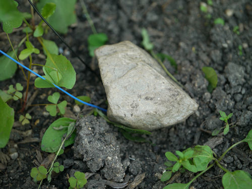 Soil temperature probe under a rock